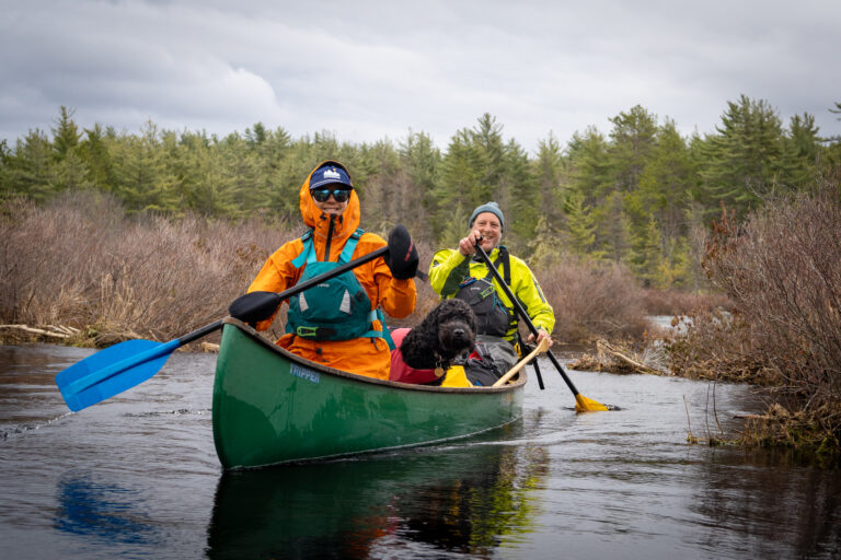 Paddling past a beaver dam